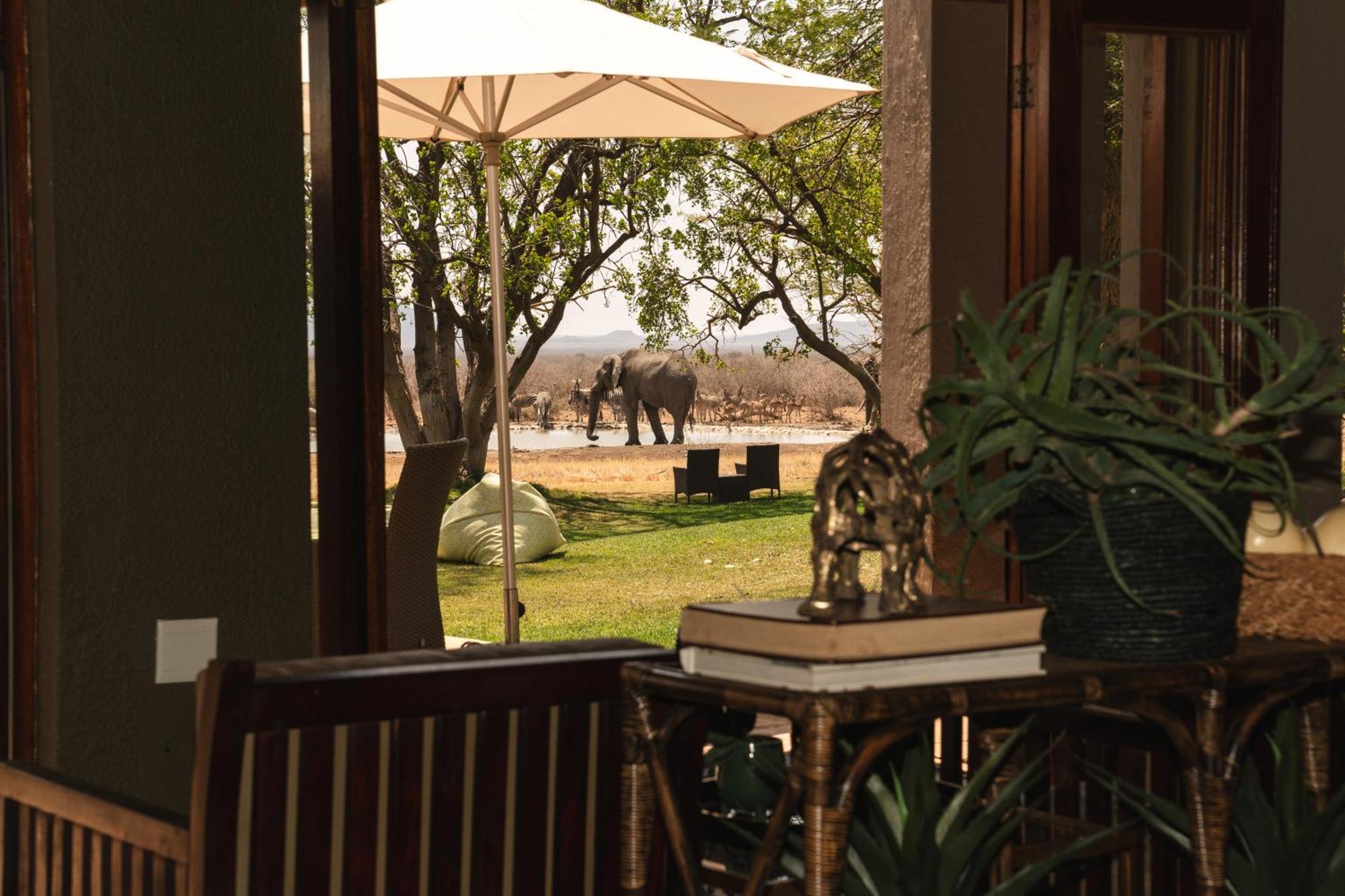 Last Word Madikwe Madikwe Game Reserve Extérieur photo