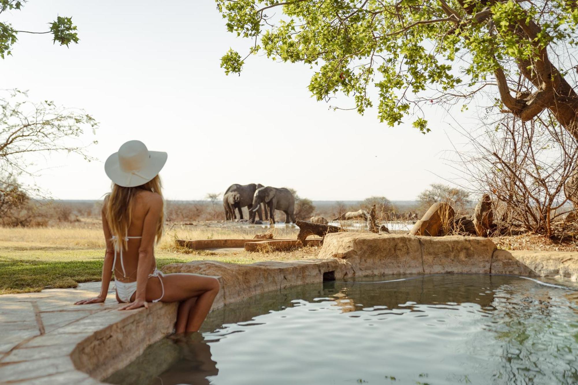 Last Word Madikwe Madikwe Game Reserve Extérieur photo