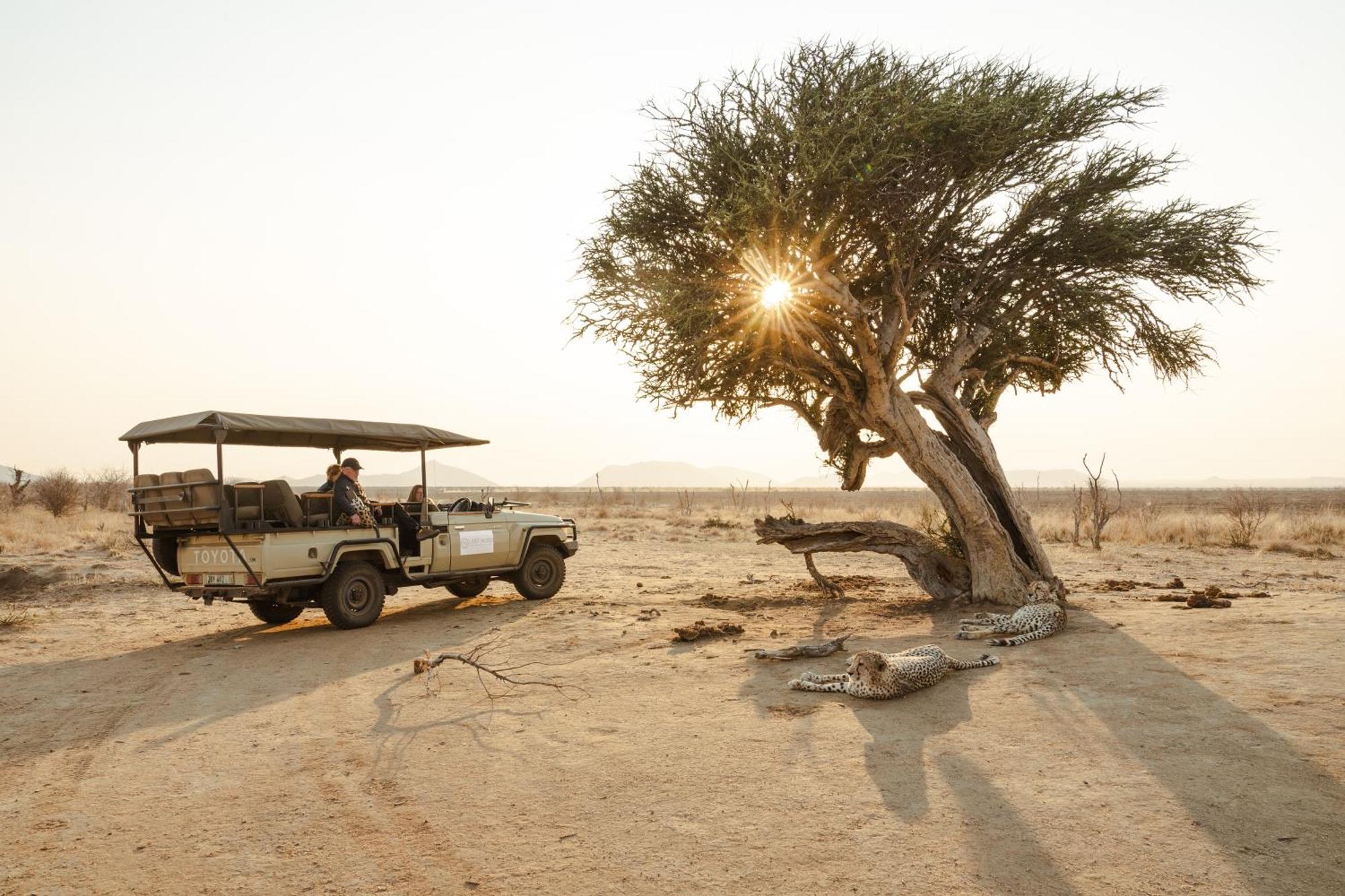 Last Word Madikwe Madikwe Game Reserve Extérieur photo
