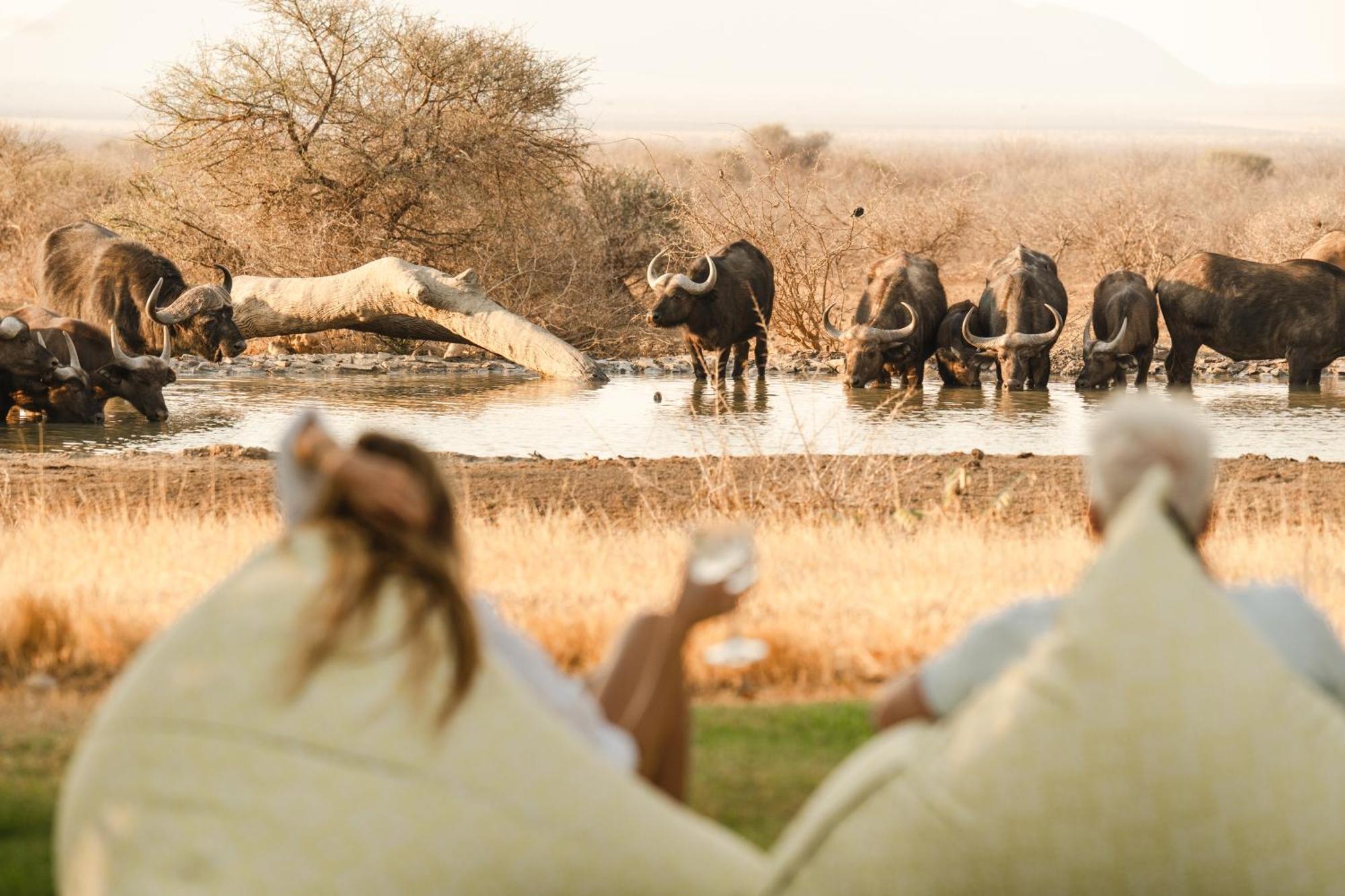 Last Word Madikwe Madikwe Game Reserve Extérieur photo