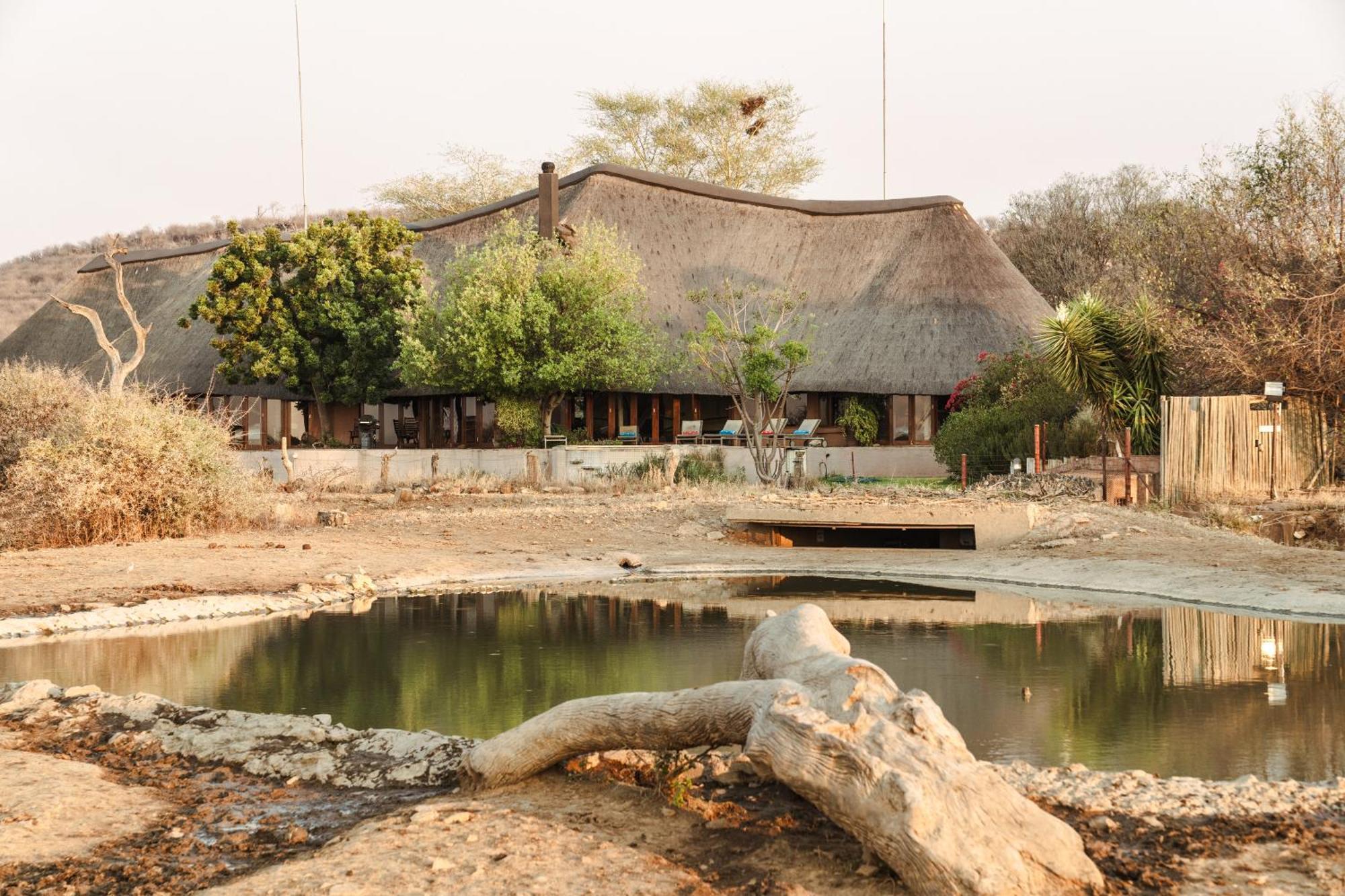 Last Word Madikwe Madikwe Game Reserve Extérieur photo