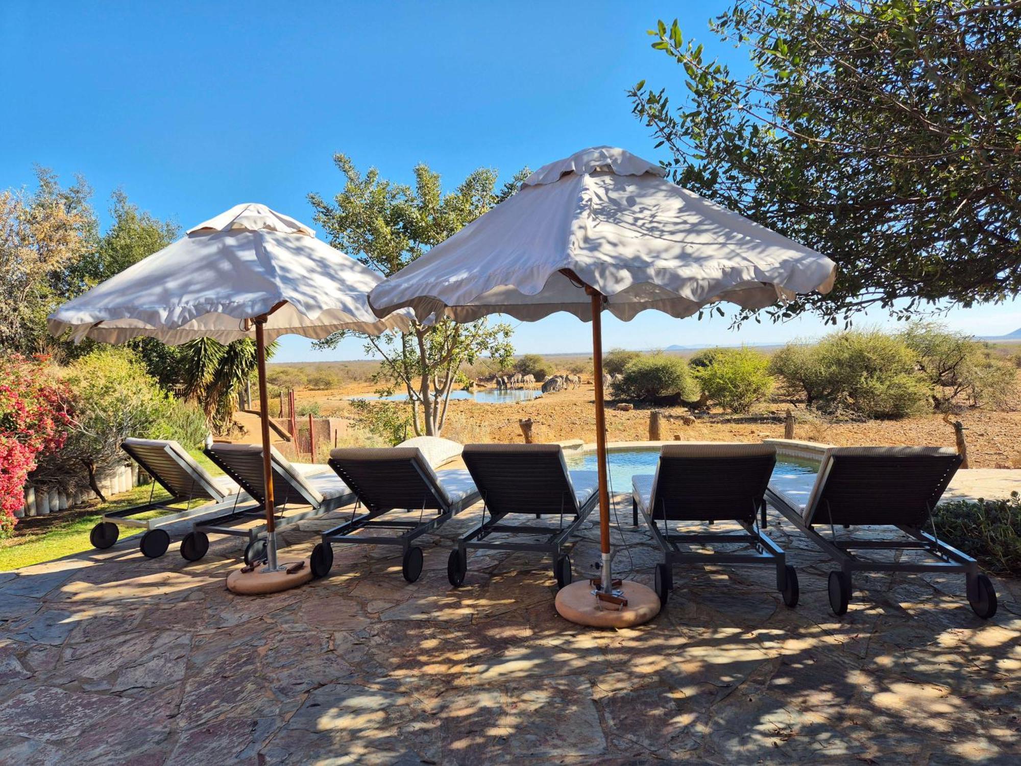 Last Word Madikwe Madikwe Game Reserve Extérieur photo